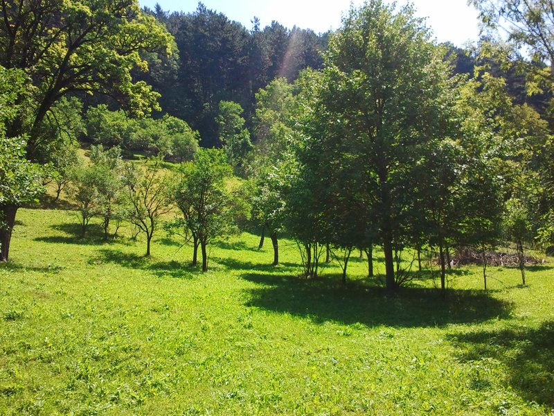 Posada, teren intravilan, deschidere din D.N.1, la 5 km Sinaia, 4.350 m