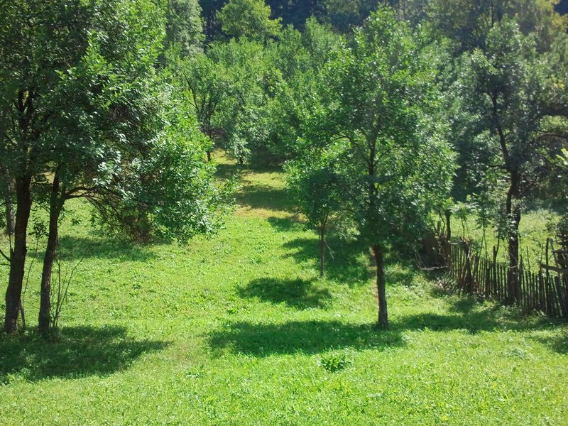 Posada, teren intravilan, deschidere din D.N.1, la 5 km Sinaia, 4.350 m